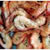 Shrimp