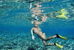 diving in fiji dive
